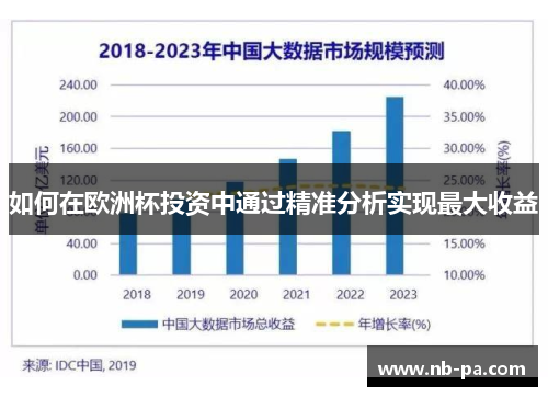 如何在欧洲杯投资中通过精准分析实现最大收益