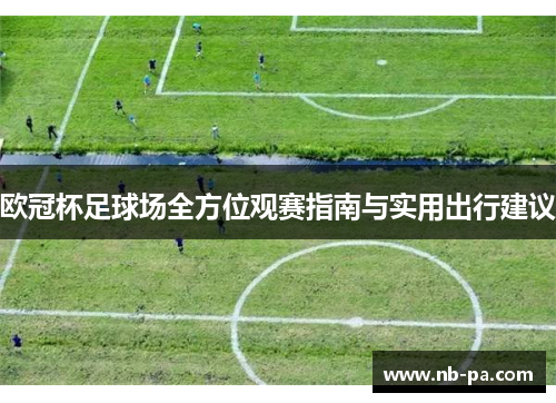 欧冠杯足球场全方位观赛指南与实用出行建议