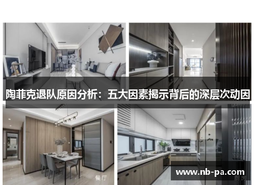 陶菲克退队原因分析:五大因素揭示背后的深层次动因 陶菲克退队原因分析:五大因素揭示背后的深层次动因