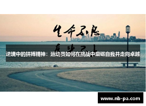 逆境中的拼搏精神:运动员如何在挑战中磨砺自我并走向卓越 逆境中的拼搏精神:运动员如何在挑战中磨砺自我并走向卓越