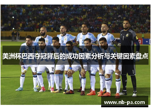 美洲杯巴西夺冠背后的成功因素分析与关键因素盘点