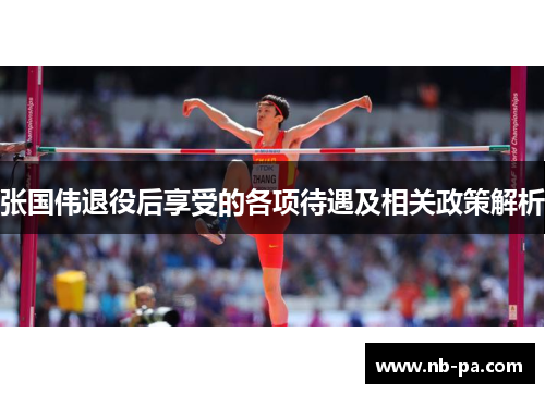张国伟退役后享受的各项待遇及相关政策解析