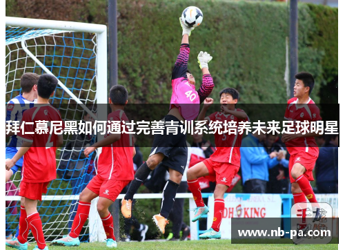 拜仁慕尼黑如何通过完善青训系统培养未来足球明星