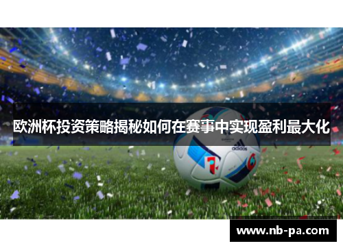 欧洲杯投资策略揭秘如何在赛事中实现盈利最大化