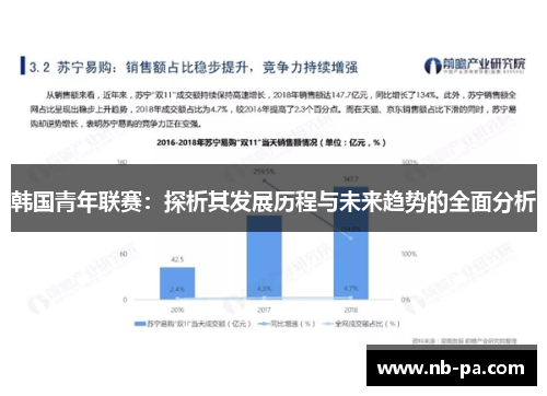 韩国青年联赛：探析其发展历程与未来趋势的全面分析