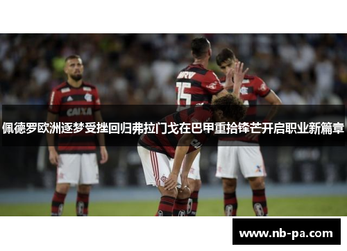 佩德罗欧洲逐梦受挫回归弗拉门戈在巴甲重拾锋芒开启职业新篇章