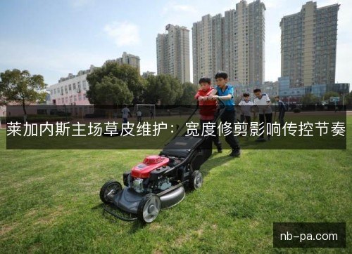 莱加内斯主场草皮维护:宽度修剪影响传控节奏 莱加内斯主场草皮维护:宽度修剪影响传控节奏